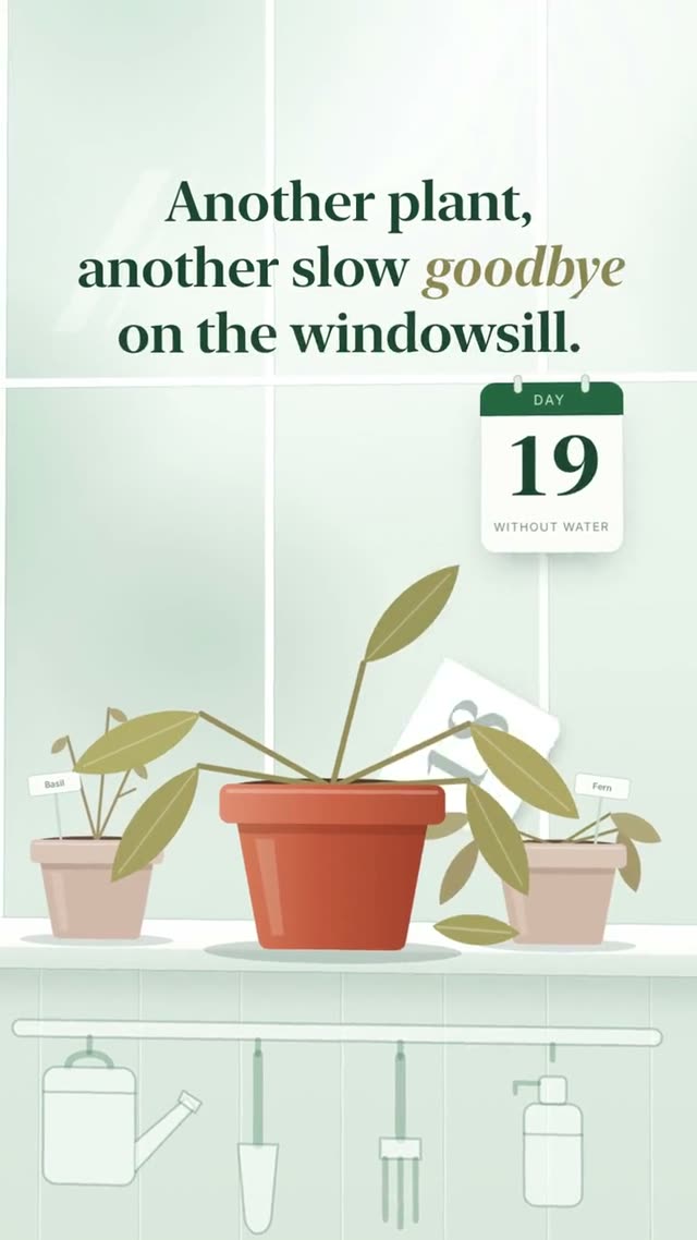 Verdo: AI-generated product film for a plant-care app with reminders, motion design video in 9:16
